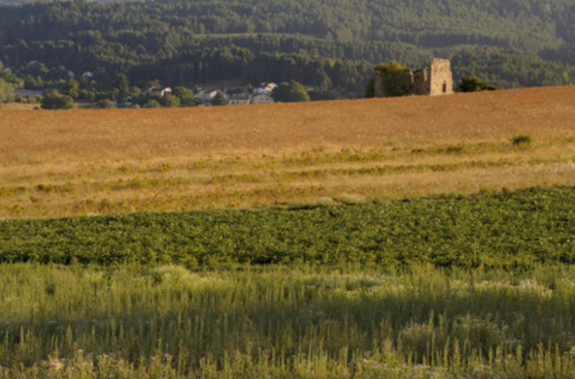 Sila rural District